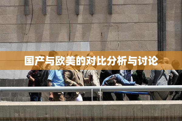 国产与欧美的对比分析与讨论