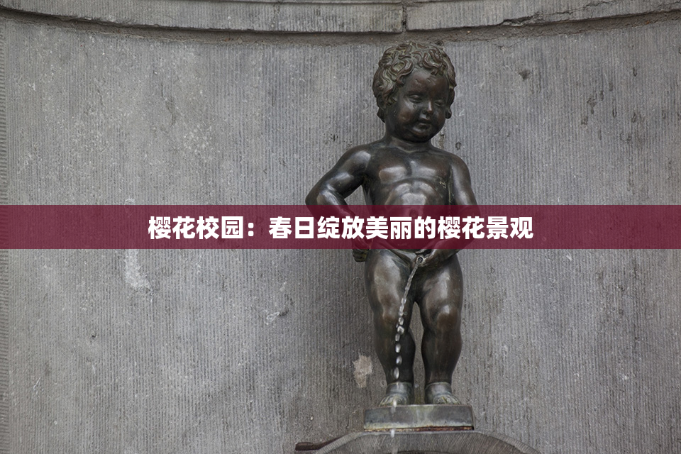 樱花校园：春日绽放美丽的樱花景观