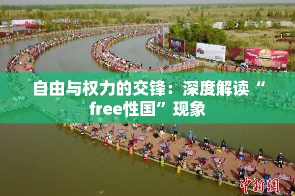 自由与权力的交锋：深度解读“free性国”现象