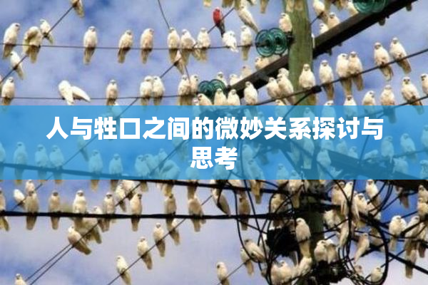人与牲口之间的微妙关系探讨与思考
