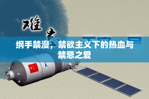 纲手禁漫，禁欲主义下的热血与禁忌之爱