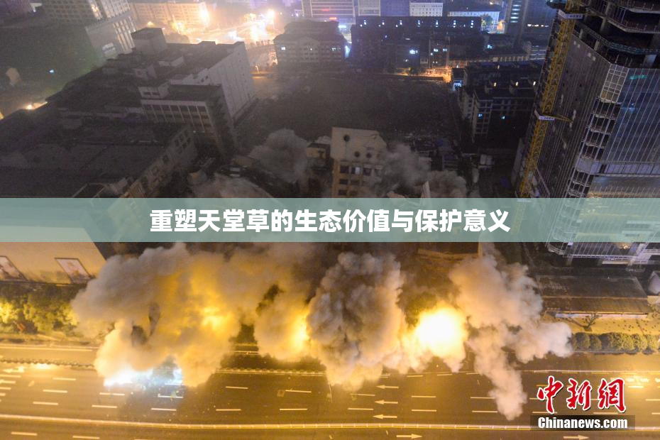 重塑天堂草的生态价值与保护意义