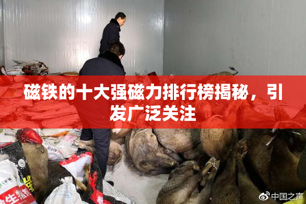 磁铁的十大强磁力排行榜揭秘，引发广泛关注