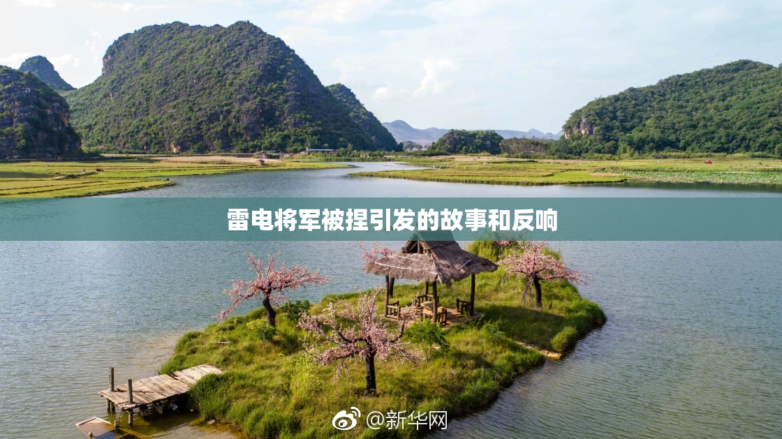 雷电将军被捏引发的故事和反响