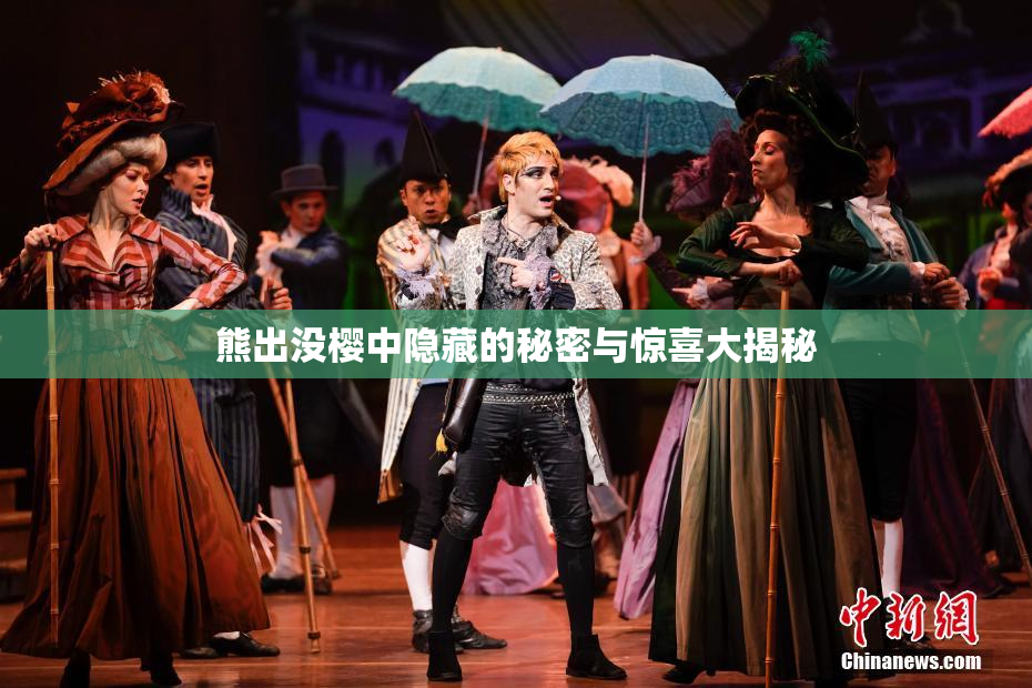 熊出没樱中隐藏的秘密与惊喜大揭秘