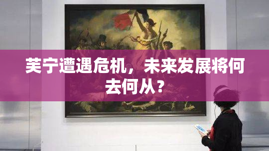 芙宁遭遇危机，未来发展将何去何从？