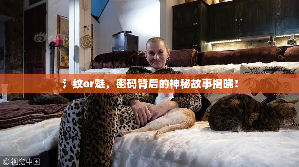 氵纹or魅，密码背后的神秘故事揭晓！