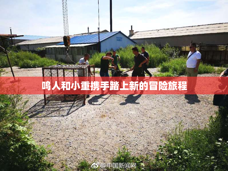 鸣人和小重携手踏上新的冒险旅程