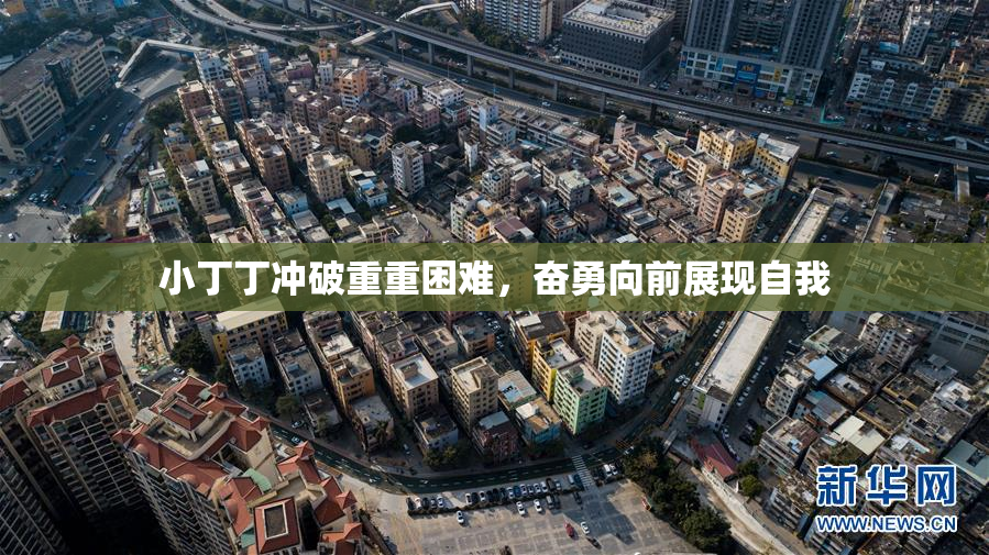 小丁丁冲破重重困难，奋勇向前展现自我