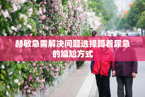 赫敏急需解决问题选择蹲着尿急的尴尬方式