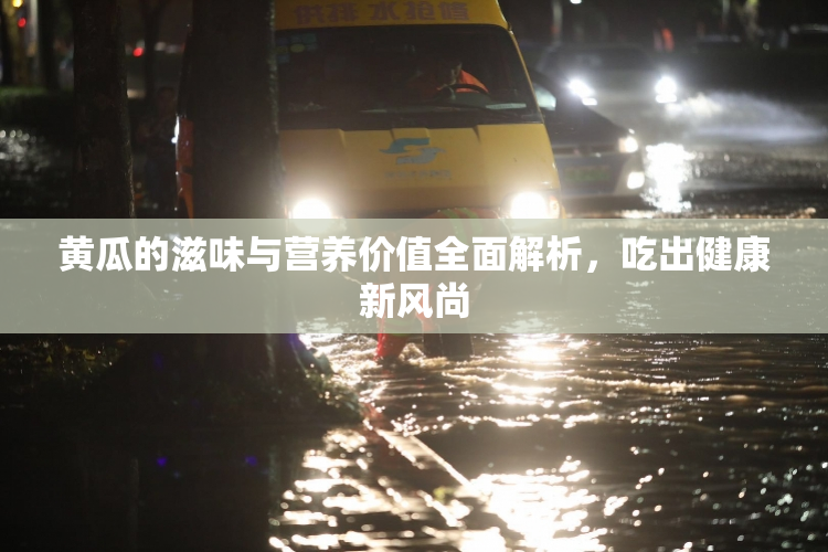 黄瓜的滋味与营养价值全面解析，吃出健康新风尚