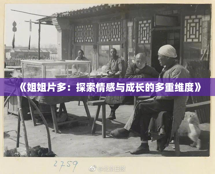 《姐姐片多：探索情感与成长的多重维度》
