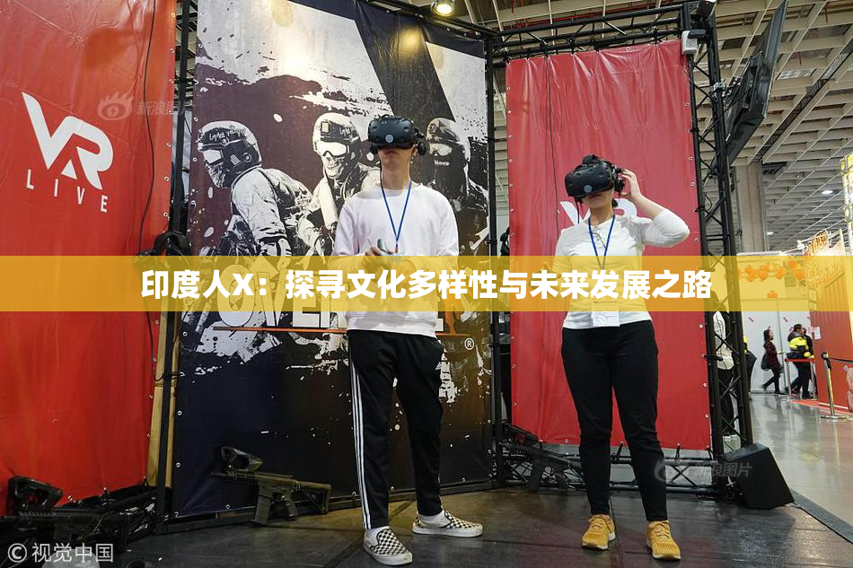 印度人X：探寻文化多样性与未来发展之路