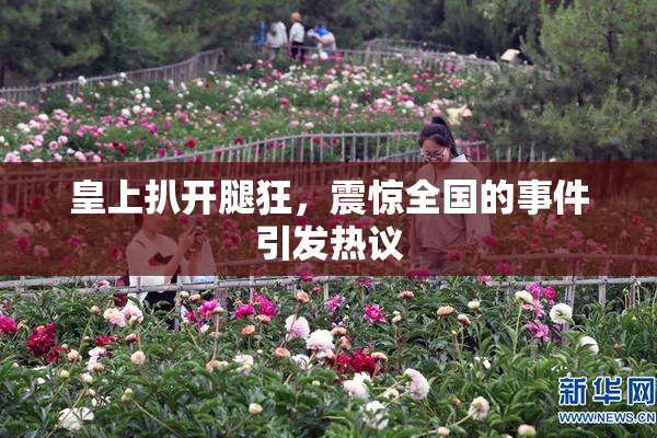 皇上扒开腿狂，震惊全国的事件引发热议