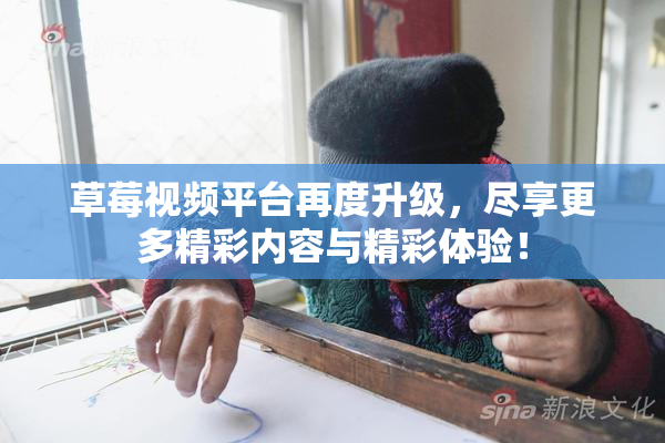 草莓视频平台再度升级，尽享更多精彩内容与精彩体验！