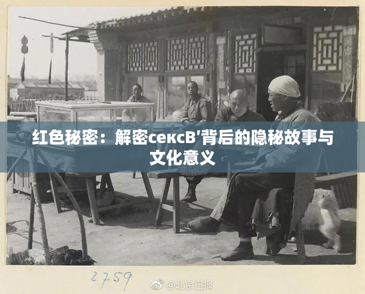 红色秘密：解密сексB′背后的隐秘故事与文化意义