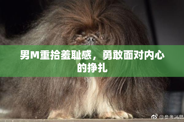 男M重拾羞耻感，勇敢面对内心的挣扎