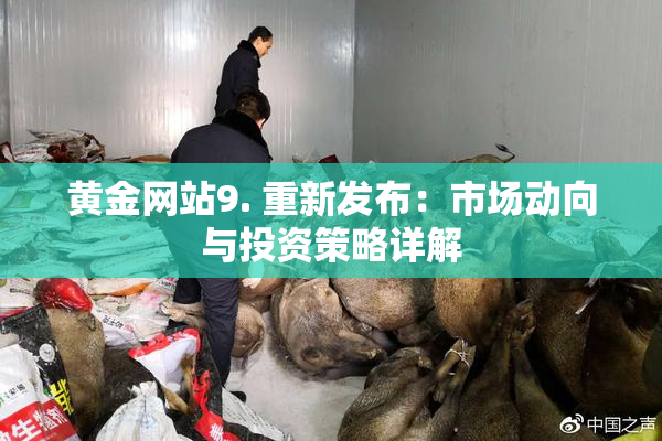 黄金网站9. 重新发布：市场动向与投资策略详解