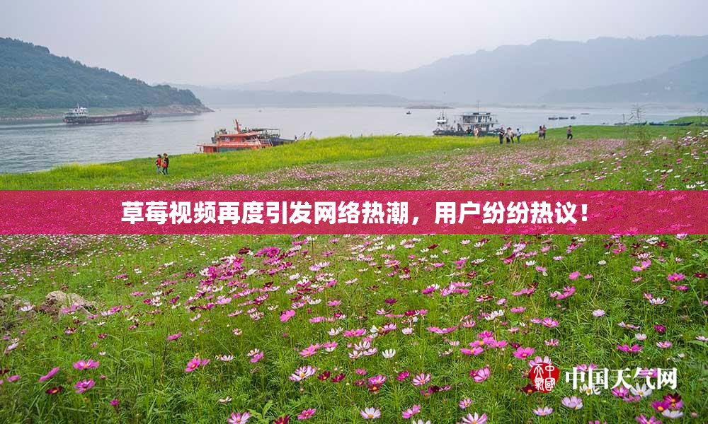草莓视频再度引发网络热潮，用户纷纷热议！
