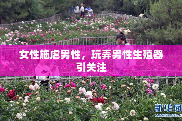 女性施虐男性，玩弄男性生殖器引关注