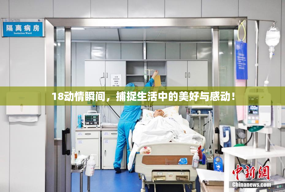 18动情瞬间，捕捉生活中的美好与感动！