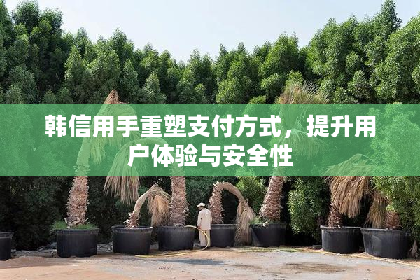 韩信用手重塑支付方式，提升用户体验与安全性