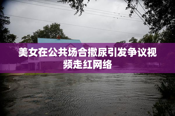 美女在公共场合撒尿引发争议视频走红网络