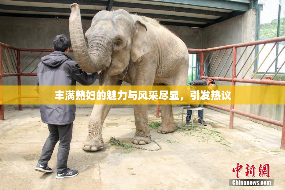 丰满熟妇的魅力与风采尽显，引发热议