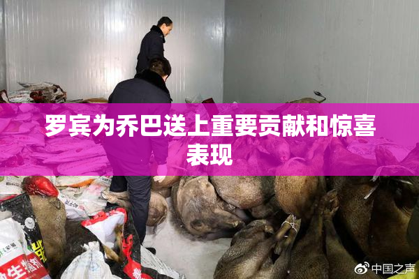 罗宾为乔巴送上重要贡献和惊喜表现