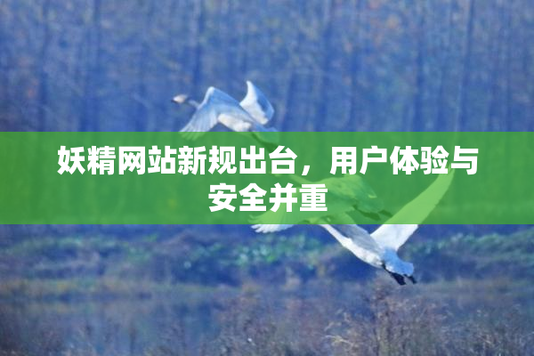 妖精网站新规出台，用户体验与安全并重