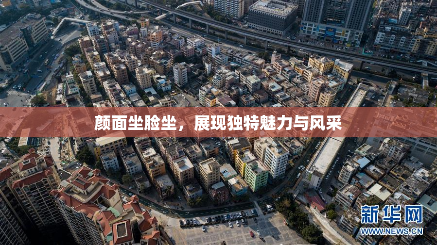颜面坐脸坐，展现独特魅力与风采