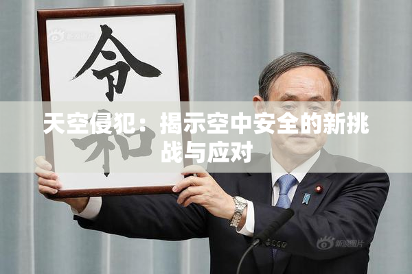 天空侵犯：揭示空中安全的新挑战与应对