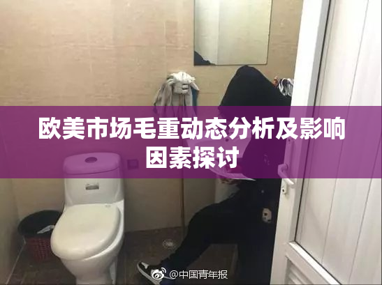 欧美市场毛重动态分析及影响因素探讨