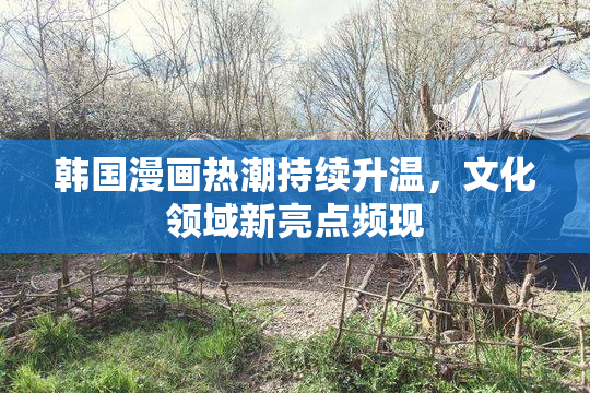 韩国漫画热潮持续升温，文化领域新亮点频现