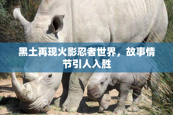 黑土再现火影忍者世界，故事情节引人入胜
