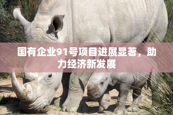国有企业91号项目进展显著，助力经济新发展