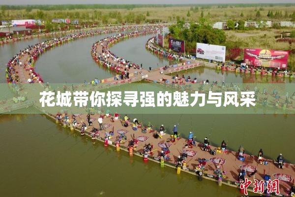 花城带你探寻强的魅力与风采