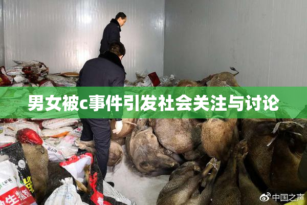 男女被c事件引发社会关注与讨论