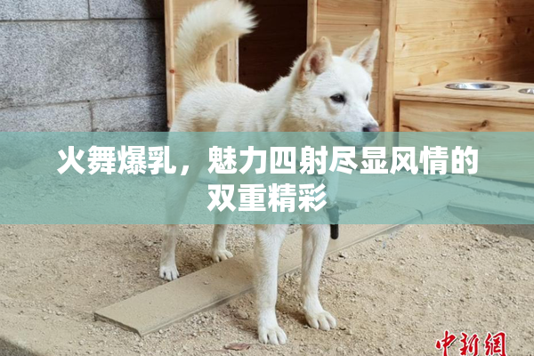 火舞爆乳，魅力四射尽显风情的双重精彩