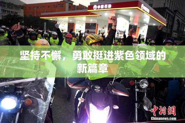 坚持不懈，勇敢挺进紫色领域的新篇章