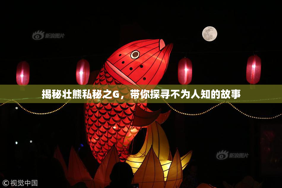 揭秘壮熊私秘之G，带你探寻不为人知的故事