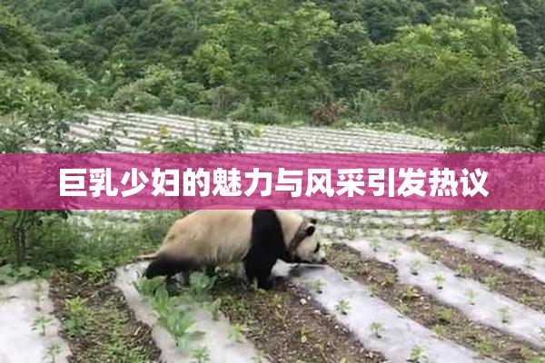 巨乳少妇的魅力与风采引发热议