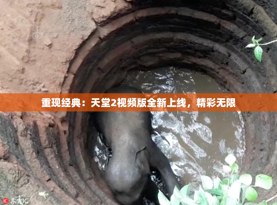 重现经典：天堂2视频版全新上线，精彩无限