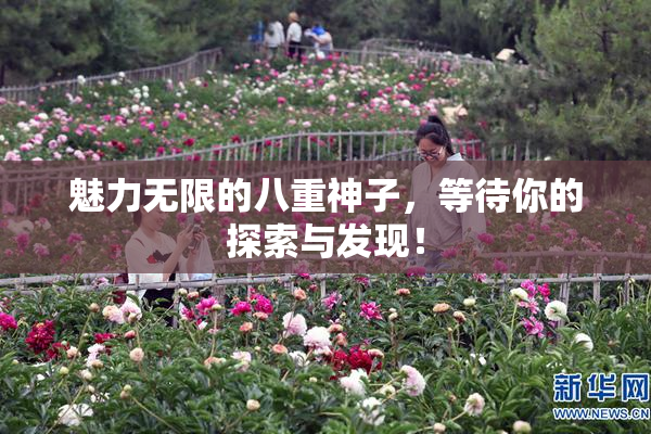 魅力无限的八重神子，等待你的探索与发现！
