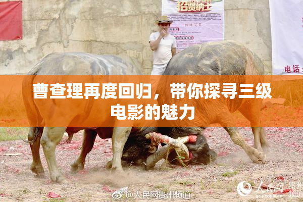 曹查理再度回归，带你探寻三级电影的魅力