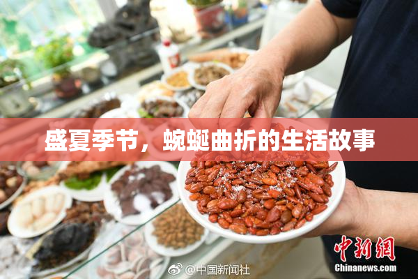 盛夏季节，蜿蜒曲折的生活故事