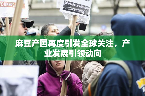 麻豆产国再度引发全球关注，产业发展引领动向