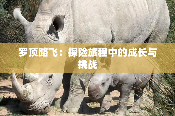 罗顶路飞：探险旅程中的成长与挑战