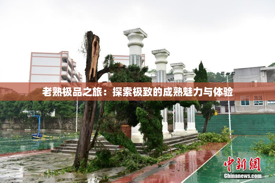 老熟极品之旅：探索极致的成熟魅力与体验