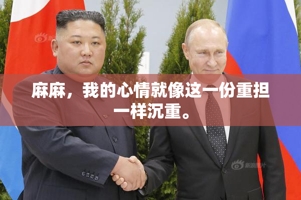 麻麻，我的心情就像这一份重担一样沉重。